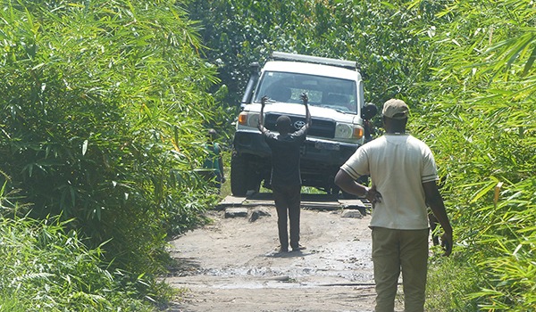 daniel-shungu-car-on-the-road